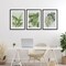 Stupell Industries Tropical Leaves Collection 3pc Framed Print Under Glass Set, design by Errico & Slyp